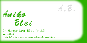 aniko blei business card